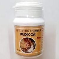 Fx-23 Ku09 Kudix Cat Tablet 10 Kapsul Obat Luka Luar Scabies Kulit Gatal Kucing Anjing Eksim Koreng 