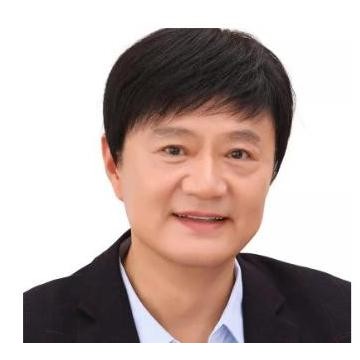 Wig Pria - Wig Pria Full Wig - Rambut Palsu Pria