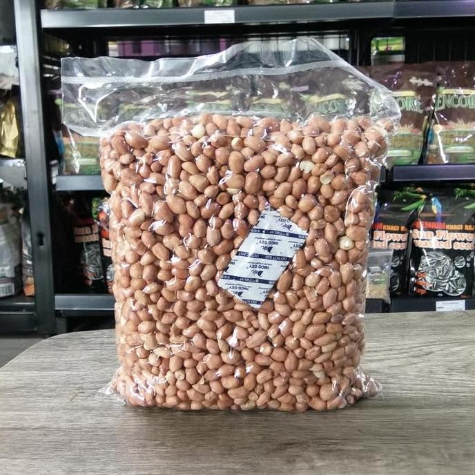 

TERMURAH - Kacang tanah Sangrai pakan Macaw Kg