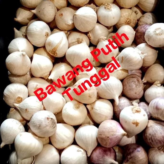 

JH8 Bawang Putih Tunggal 100gr/Bks