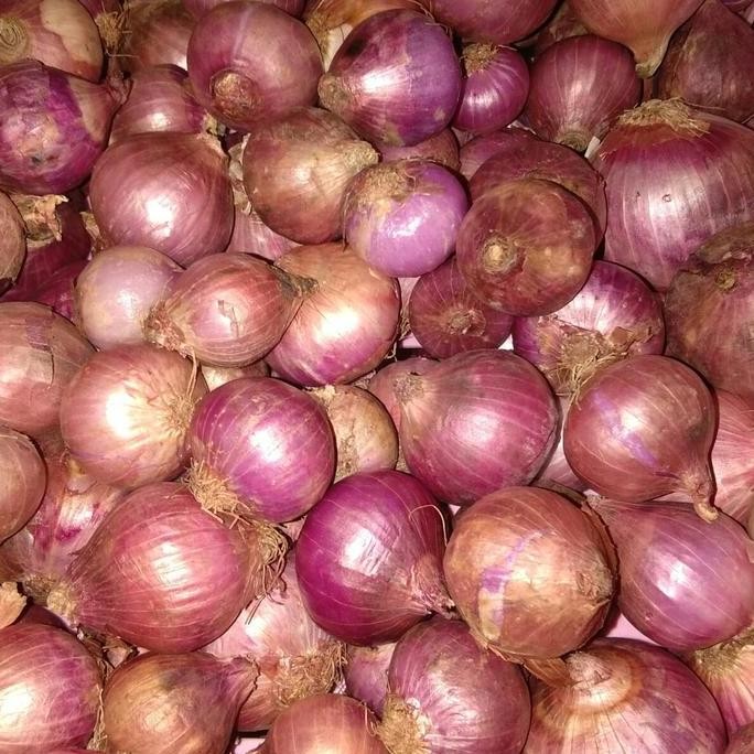 

JH8 Bawang merah BERRY import berat 1 kg