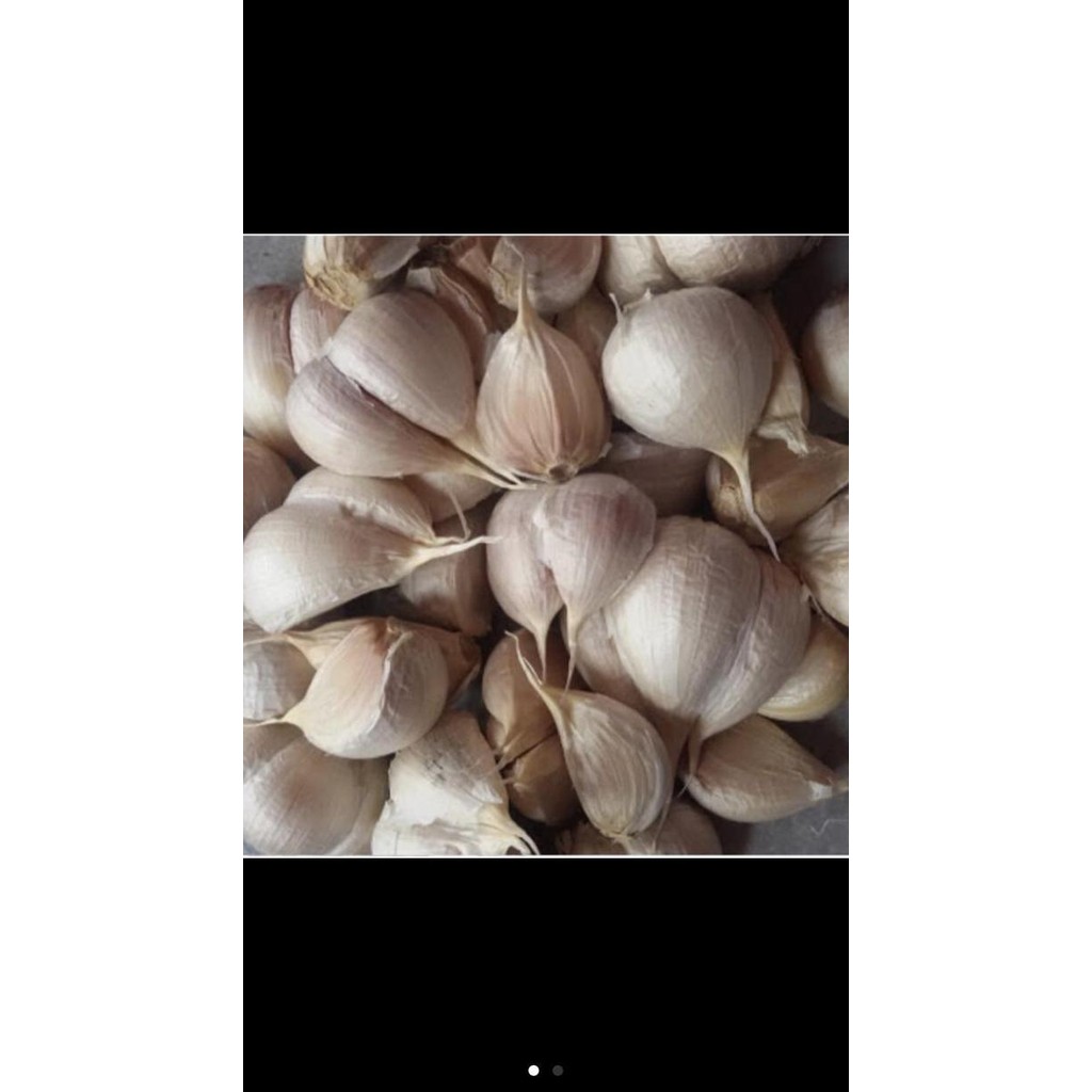 

JH8 Bawang kating 500gram