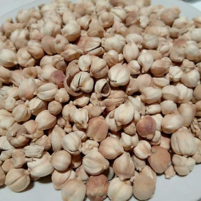 

JH8 kapulaga kering super paling murah