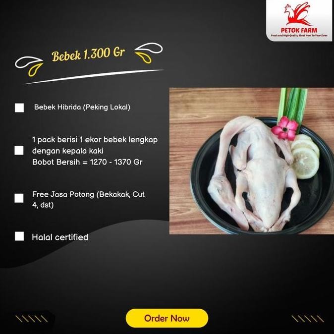 

JH8 Bebek Hibrida 1.300 gr