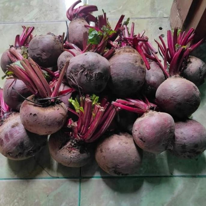 

Ready oke] Buah Bit/Beet Root 1kg