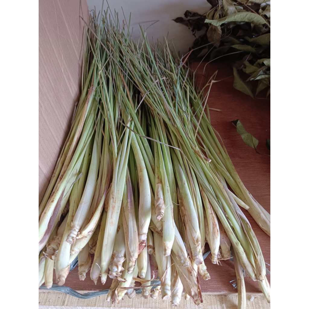 

Batang Sereh Segar 100 gr