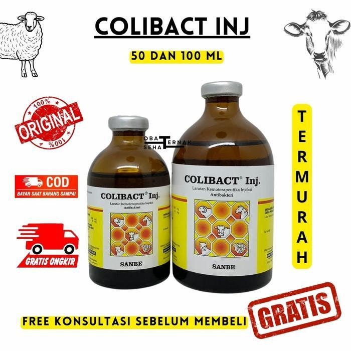 Colibact Inj. 50Ml Dan 100Ml - Obat Diare Dan Pernafasan Sapi Kambing Domba Ayam - Antibiotik Hewan