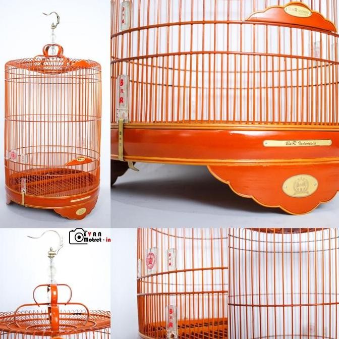 Sangkar Kandang Burung Murai No 1 No 2 BNR Reborn Logo Terbaru Asli