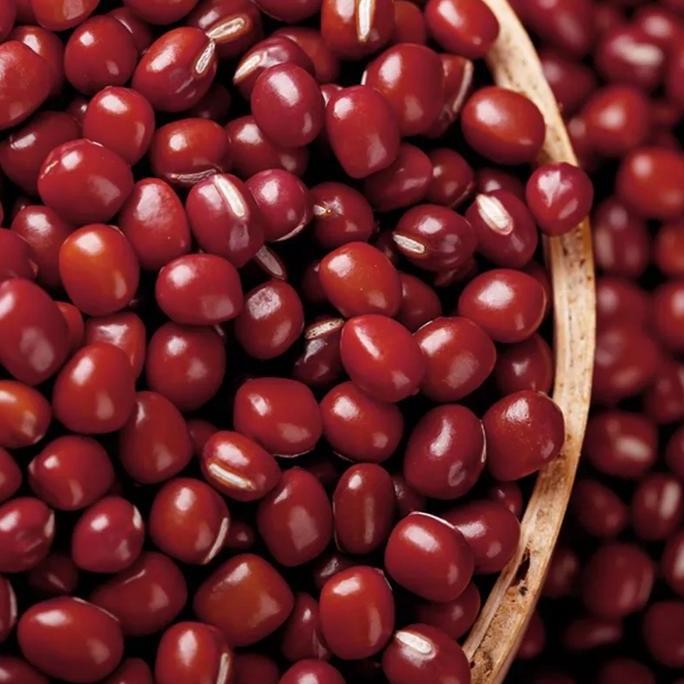 

ID | KACANG MERAH AZUKI ADZUKI AZKUSI 1KG RED BEAN ADZUKI IMPOR