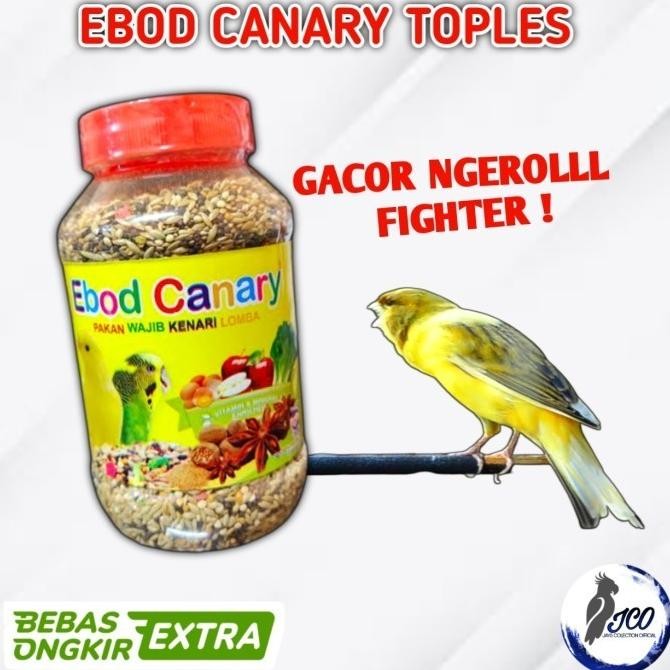 PAKAN LOMBA BURUNG KENARI EBOD CANARY TOPLES EBOD KENARI TOPLES GACOR