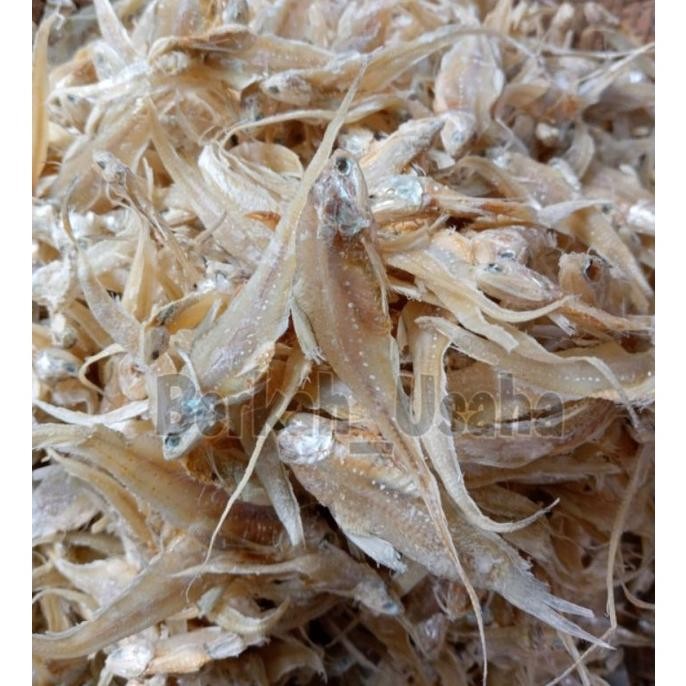 

Ll_12 Ikan Asin Bulu Ayam Kering 1Kg Murah Grosir N-132