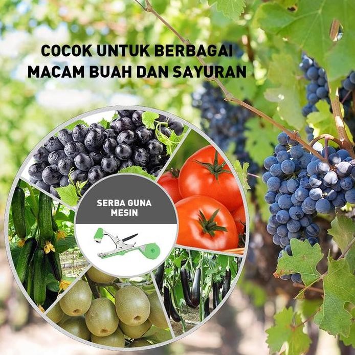 Pengikat tomat tipe baru, artefak pengikat tanaman anggur, pengikat mentimun, pengikat anggur, pengi