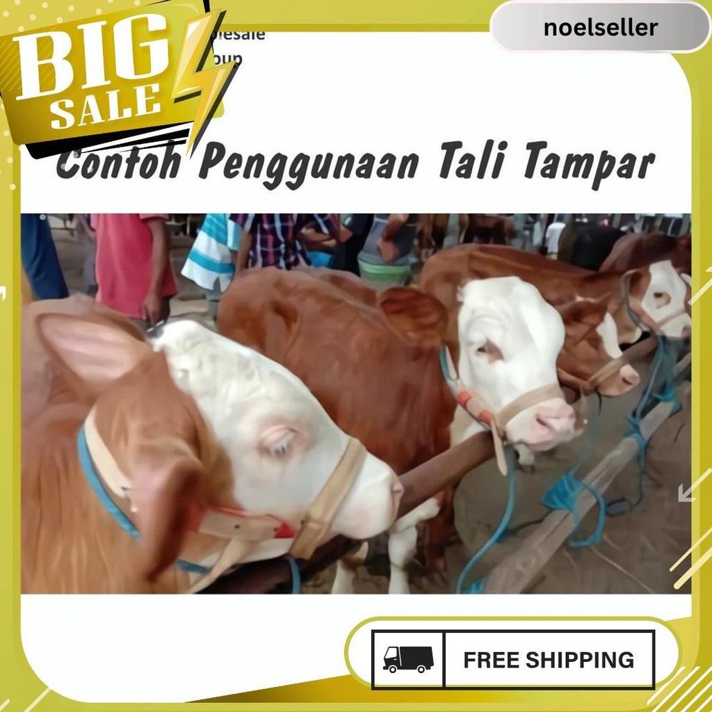 

Tali Tampar Ukuran 4Mm Panjang 220 Meter Termurah