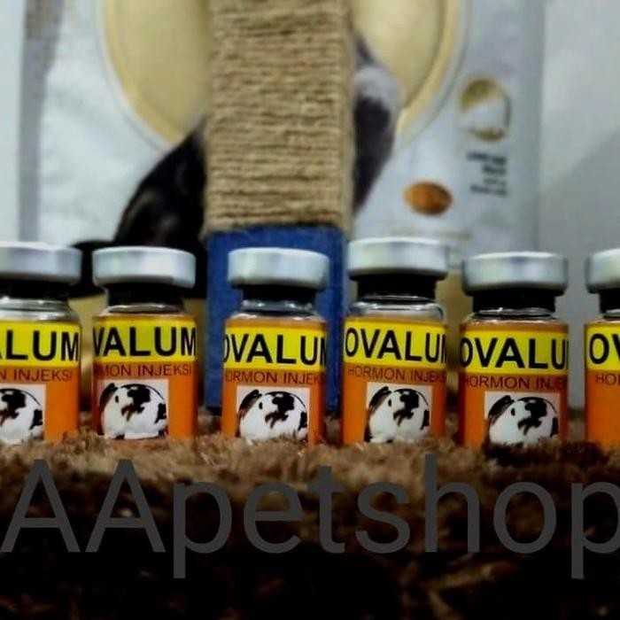 Obat Birahi Hewan Ovalumon 7 Ml