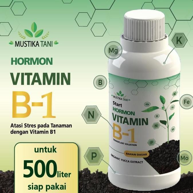 Promo Vitamin B1 Pertanian Mustika Tani Nutrisi Tanaman Anti Stress Kualitas Import Formula Super 50