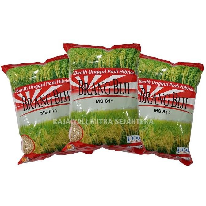 Promo BENIH UNGGUL PADI HIBRIDA BRANG BIJI 1 KG COD