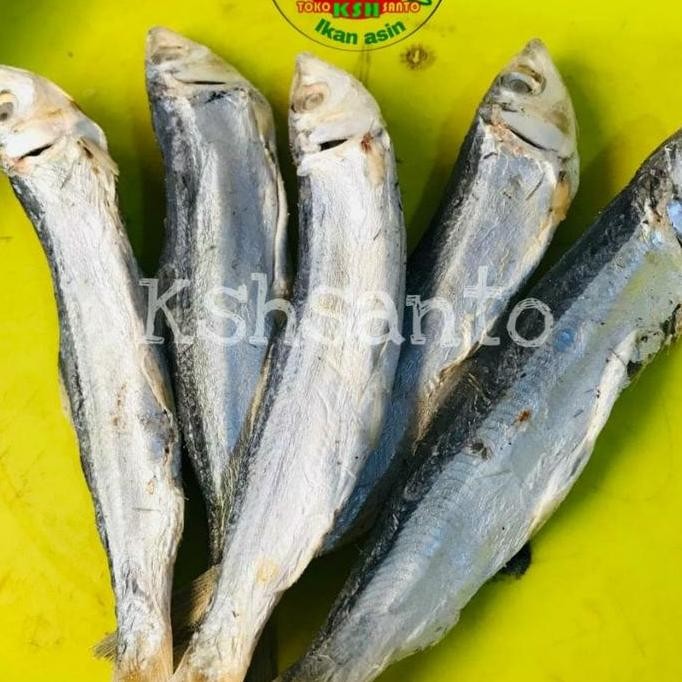 

Ikan Asin Japu Ketan Super-1Kg