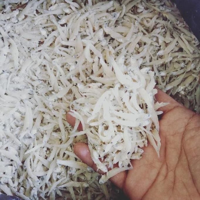 

Teri Nasi Medan Termurah 250 Gr