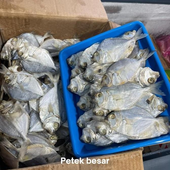 

Ikan Asin Petek Kecil Besar 500 Gram