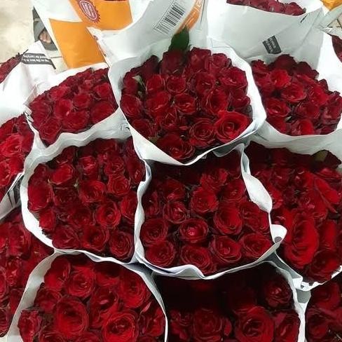 Bunga mawar asli Isi 20Btg