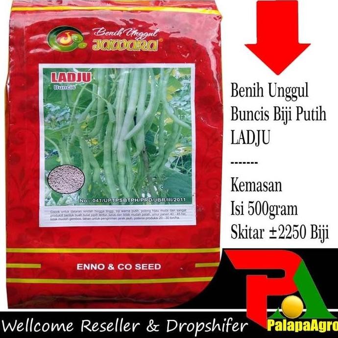 

New Arrival, Benih Buncis Ladju 500Gr