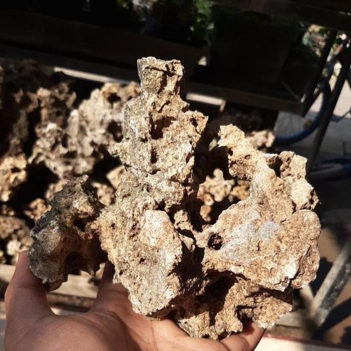 BATU KARANG GUNUNG BOLONG SERBA GUNA AQUASCAPE/BONSAI/PENGHIAS TAMAN