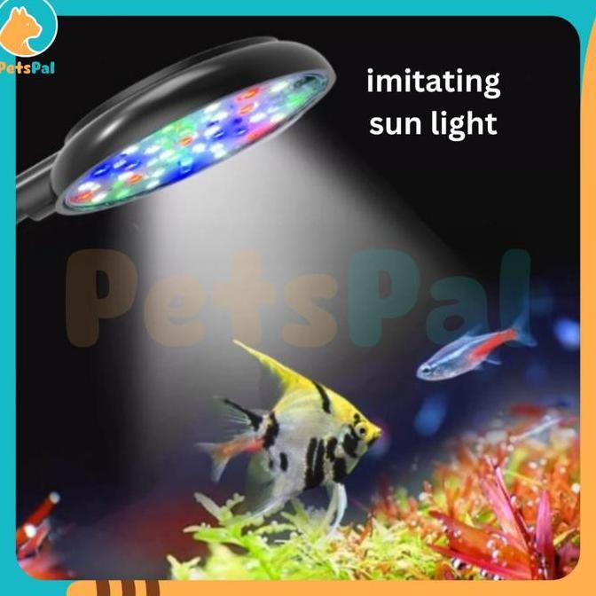 Lampu LED Akuarium USB Bulat 5W Klip Putar Kontrol Redup Aquarium Lamp