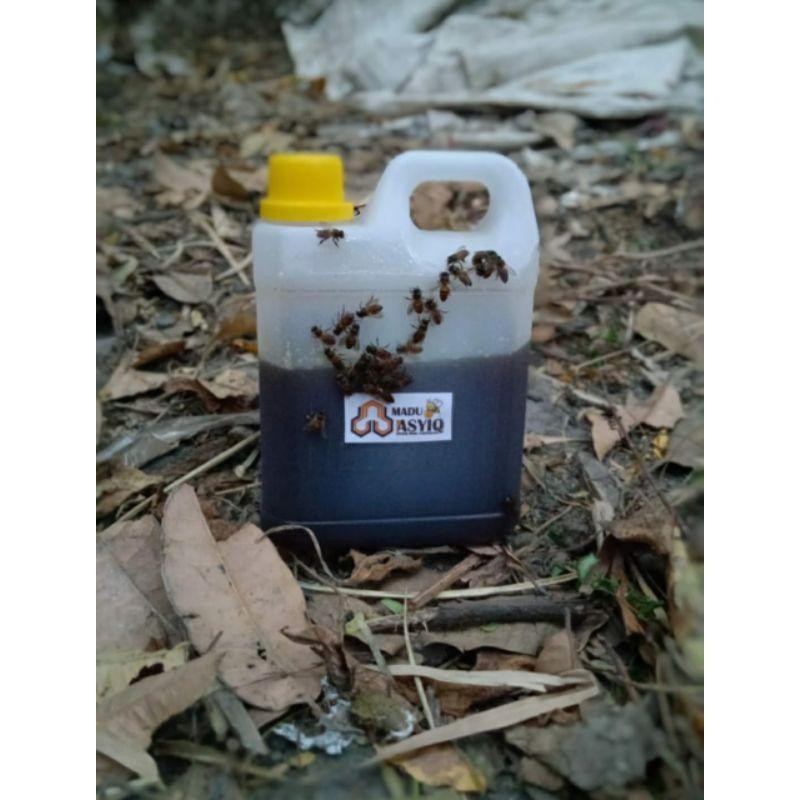 

FM MADU ASLI MURNI Liar Hutan Apis Dorsata Uji Lab.