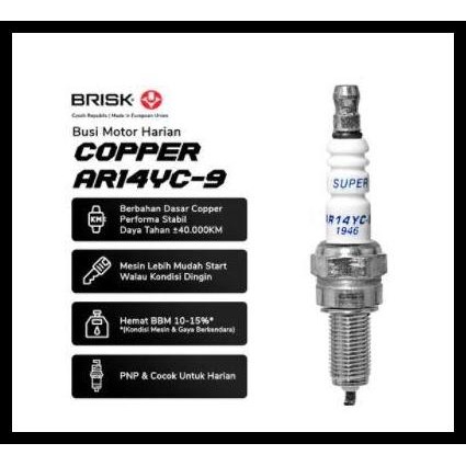 DISKON BUSI MOTOR HONDA VARIO 110 KARBU ASLI BRISK COPPER 