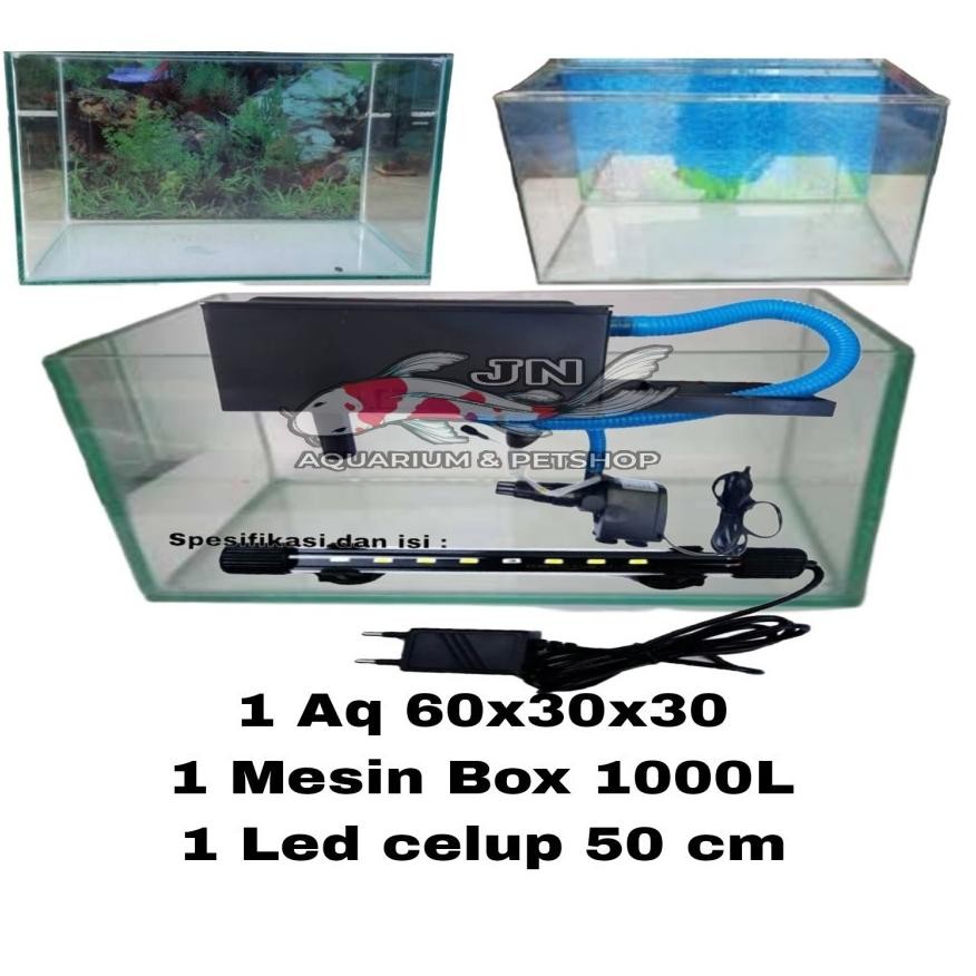Paket Aquarium 60x30x30 Hiasan Aquarium