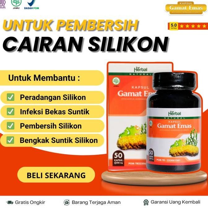 Terlaris Kapsul Gamat Emas Untuk Penghilang Cairan Suntik Silikon Minyak Kemiri Di Kelamin Wajah Bok