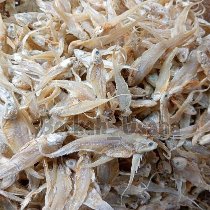 

IKAN ASIN BULU AYAM per 1kg
