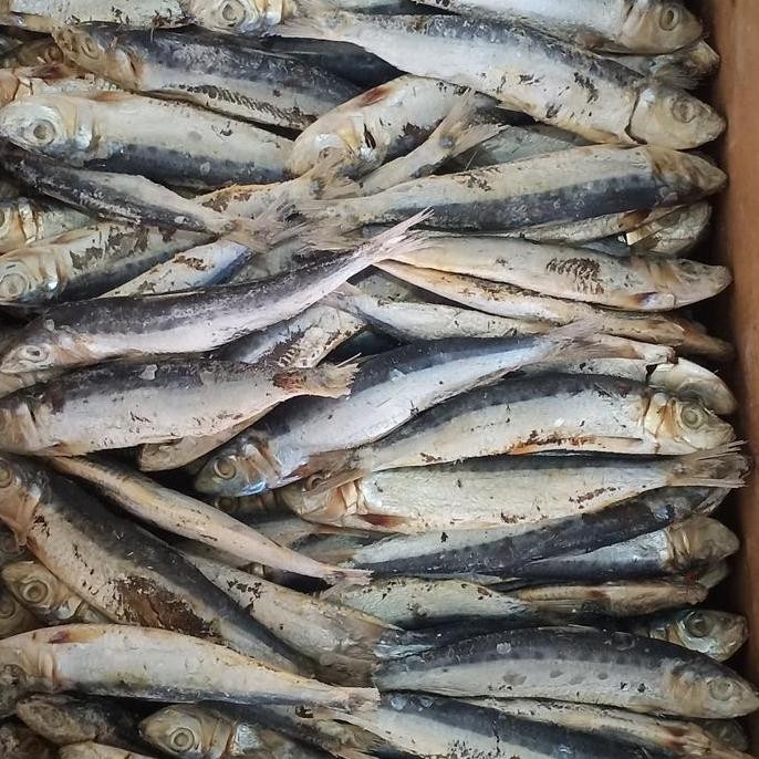 

ikan asin japuh lesi 1 kg