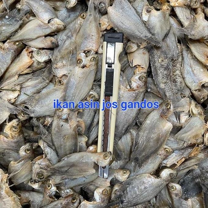 

ikan asin sepat rawa kalimantan 1 kg