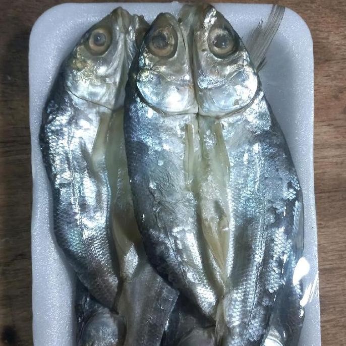 

ikan asin bandeng kering aja
