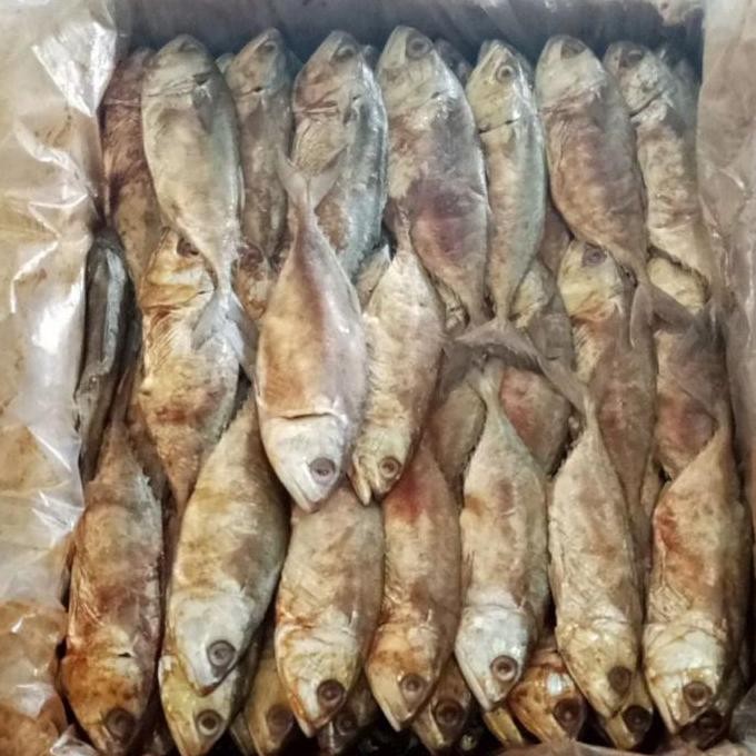 

Ikan Asin Peda Merah Besar Grade A 1 Kg Berkualitas Premium, Rasa Nikmat dan Segar, Ideal untuk Masakan Tradisional