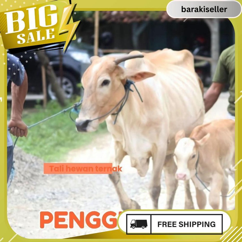 

Tali Tampar United Serbaguna Ukuran 2.5 Mm 1 Roll / Panjang 220 Meter Meledak