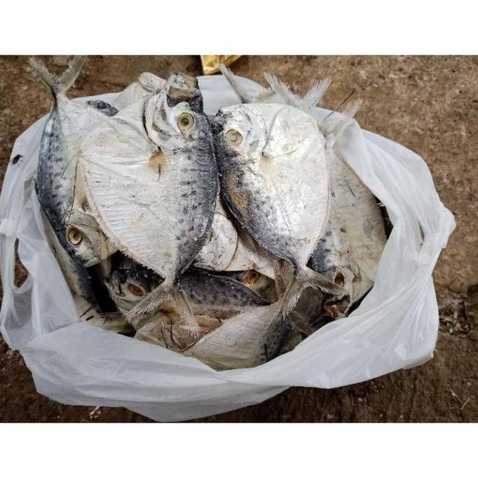 

Ikan Asin Semar Kering 1 Kg Gram Cita Rasa Tradisional yang Menggugah Selera dan Penuh Nutrisi