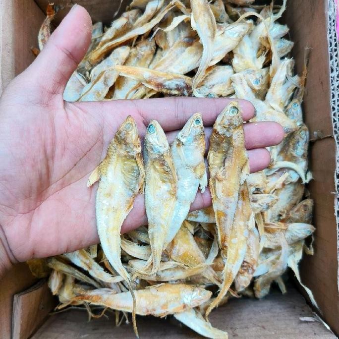 

ikan asin bulu ayam tawar 1 kg Food