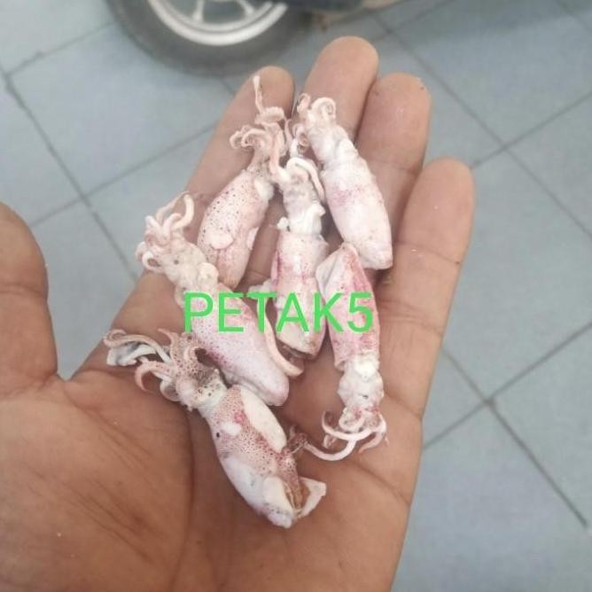 

Ikan asin beby cumi 1kg/beby cumi asin/cumi asin beby - 1kg