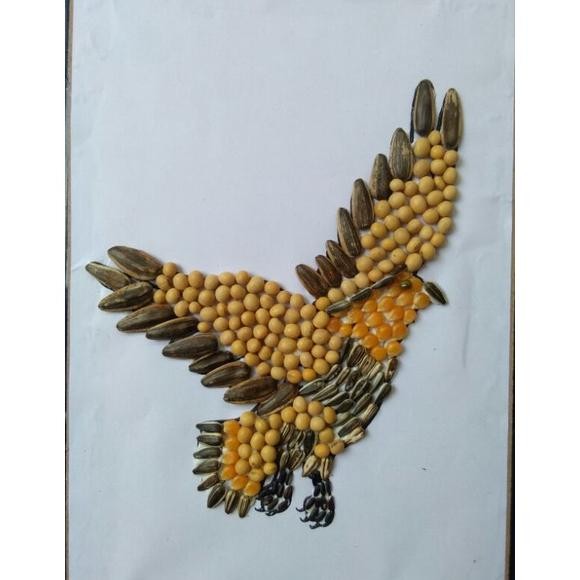 

kolase biji bijian burung elang DiM