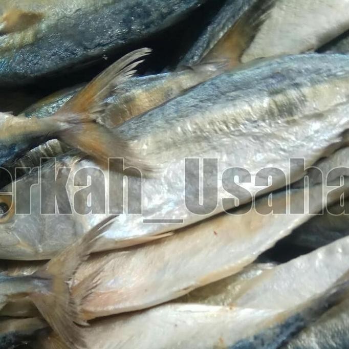

IKAN ASIN PEDA PUTIH 500GRAM