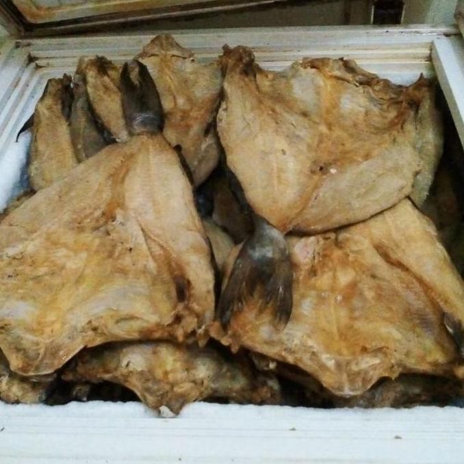 

TERLARIS Ikan Asin Jambal Roti Super Ngeprul Asli Pangandaran 1 Kg