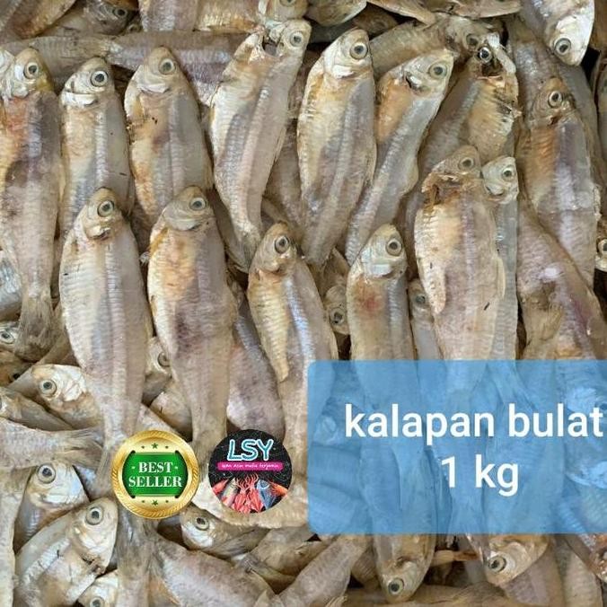 

ikan asin kalapan bulat 1kg