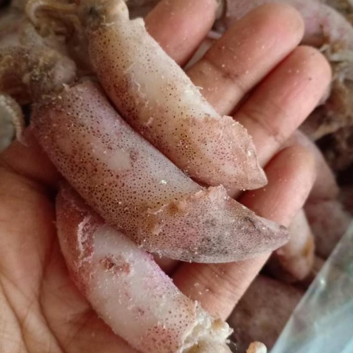 

Ikan Cumi Asin Kering/Sotong Kering Per 500Gr