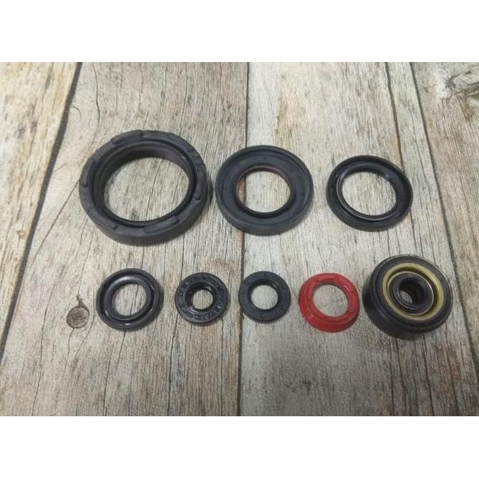 oil seal kit set for GPX tse250/ssx ke250