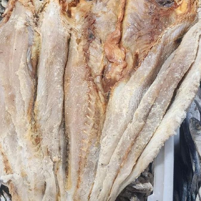 

ikan asin jambal roti atau otek jumbo kalimantan selatan