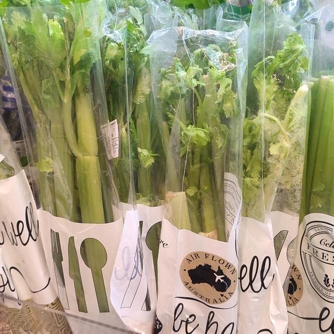 

Seledri Celery Stick Australia Fresh 1.2 Kg - Sayur Organik Impor