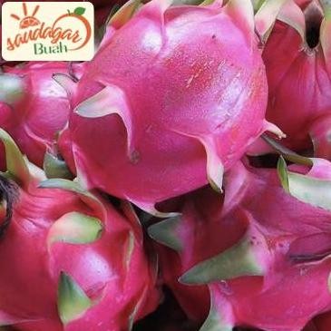 

RKM BUAH NAGA MERAH MANIS