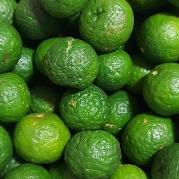 

RKM jeruk limau jeruk limo segar